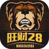 旺财28  100+100